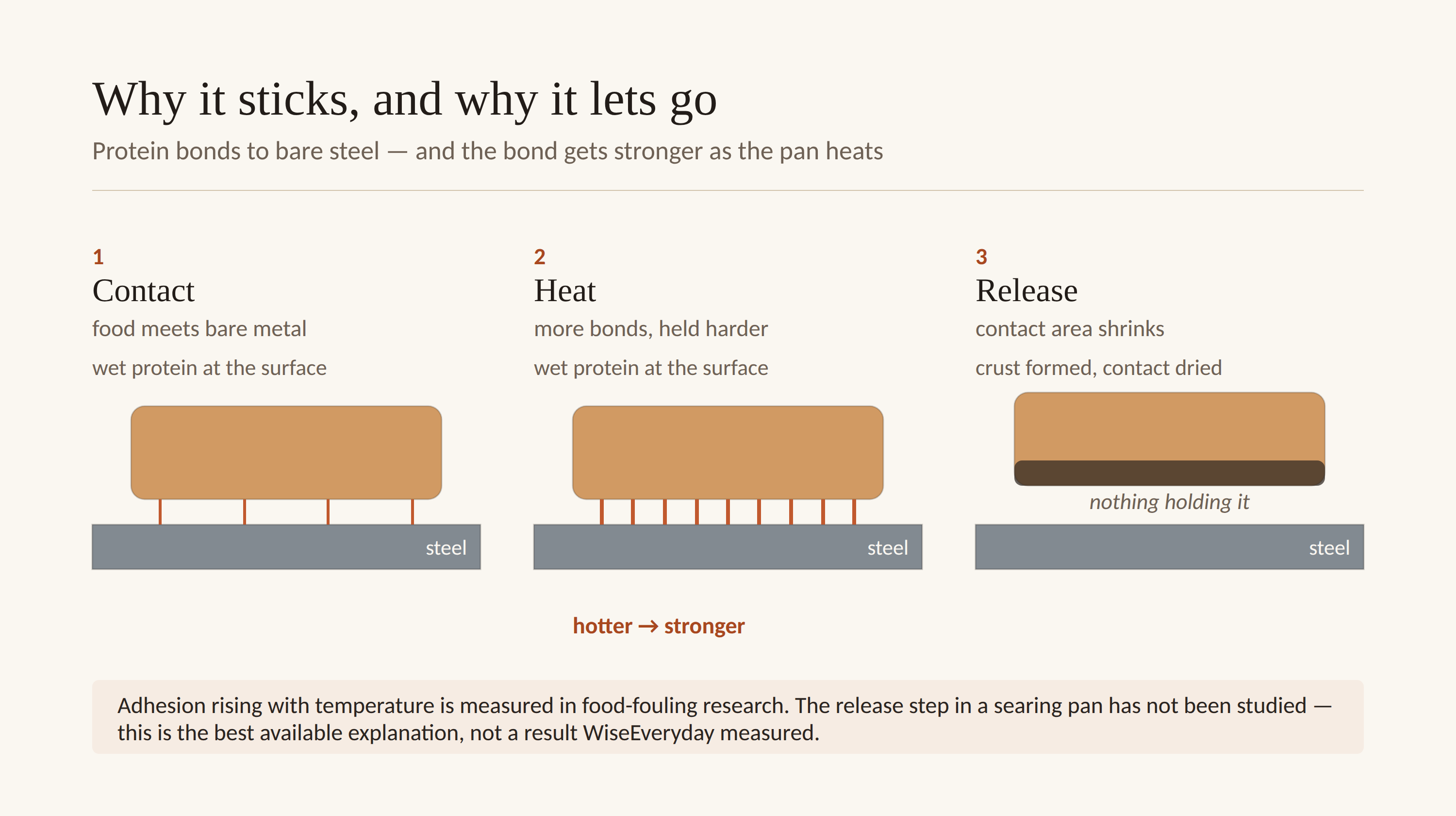 Three-stage diagram. One, food contacts bare steel and a few bonds form. Two, the pan is hotter and many more bonds hold it harder. Three, a crust has formed, the contact area has dried and shrunk, no bonds remain and the food lifts away from the steel.